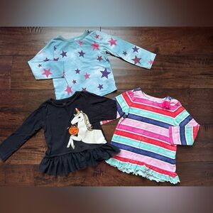 Baby Girl Long Sleeves Bundle 24M